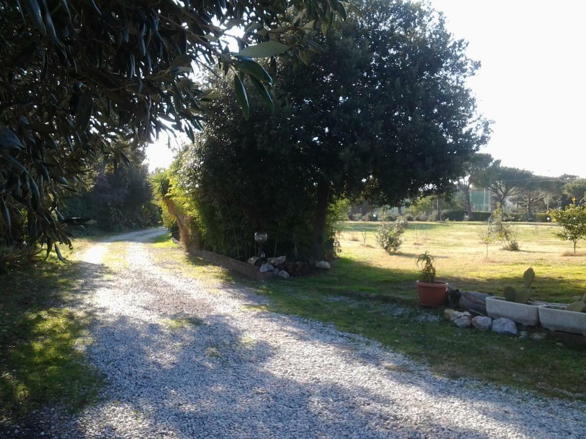 Appartamento In Villa Di Judighes Черветери Екстериор снимка